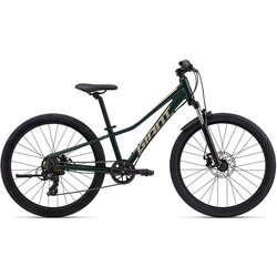 Giant Talon 24 Disc