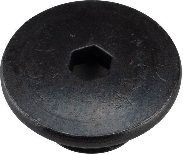 Shimano 105 ST-R7020 Hydraulic Brake/Shifter Bleed Screw and O-Ring