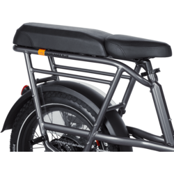Rad Power Bikes RadRunner 3 Passenger Package