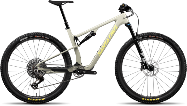 Santa Cruz Blur 90 Trail